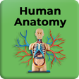 程序图标：Human Anatomy and Physiol…
