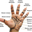 Icon of program: Хиромантия - линии на рук…