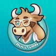 プログラムのアイコン：BullVPN - VPN Proxy