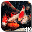 Icon of program: Koi 4K Video Live Wallpap…