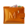 Ikon program: My Money Manager