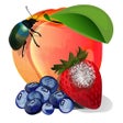 Icon of program: MyIPM
