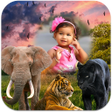Ikona programu: Wild Animal Photo Frames