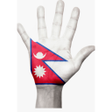 プログラムのアイコン：Nepal Election App 2079