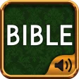 Bible commentary