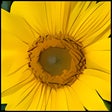 Symbol des Programms: ahatool Fotosammler
