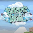 Programikonen: Birds Arent Real