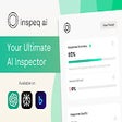 Ikon program: inspeq ai