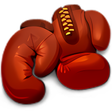 Ikon program: Boxer