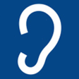 程序图标：RealVoice