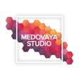 プログラムのアイコン：MEDOVAYA STUDIO