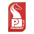 プログラムのアイコン：Prudent Plus