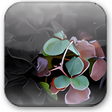Symbol des Programms: Backgrounds for PowerPoin…