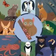 Icon of program: AmazingAnimalAtlas