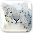 Icona del programma: Mac OS X Snow Leopard Wal…