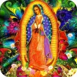 Virgen de Guadalupe Imagenes