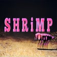 Ikon program: S H R i M P