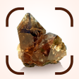 أيقونة البرنامج: Rock identifier