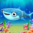程序图标：Whale shark in my room