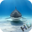程序图标：Sharks Video Live Wallpap…