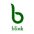 程序图标：Blink
