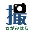 Ícone do programa: パッ撮るん