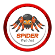 Spider web net