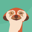 Ikon program: Lettr  Create your own ne…