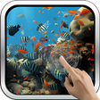プログラムのアイコン：Colorful Tropical Fishes