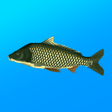 程序图标：True Fishing. Simulator