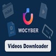 Icon of program: Wocyber