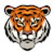 أيقونة البرنامج: Tiger New Tab