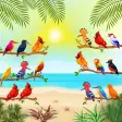 Color Bird match Puzzle games
