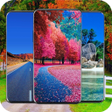 Beautiful Wallpaper icon