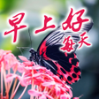 Ikon program: Chinese Good Morning Ever…