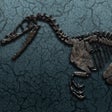 Symbol des Programms: World of Dinos