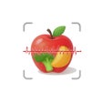 Icoon van programma: Exposr - Food Product Sca…