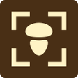 プログラムのアイコン：Fungus - Identification o…