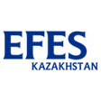 プログラムのアイコン：EFES E-Partner SCS