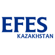 EFES E-Partner SCS