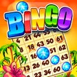 プログラムのアイコン：Bingo Story Live Bingo Ga…