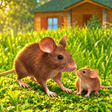 Иконка программы: Mouse Simulator