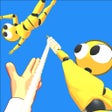 Programikonen: Ragdoll Capture