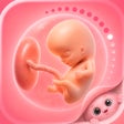 프로그램 아이콘: Pregnancy Tracker - Buddy…