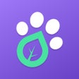 Ikona programu: 6Sense AI