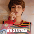 プログラムのアイコン：V BTS WASticker