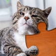 Icône du programme : Cat Puzzles