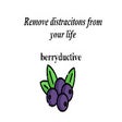 프로그램 아이콘: Berryductive