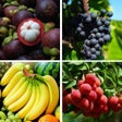 Icoon van programma: Guess The Fruit