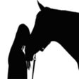 Biểu tượng của chương trình: Horse Quiz
